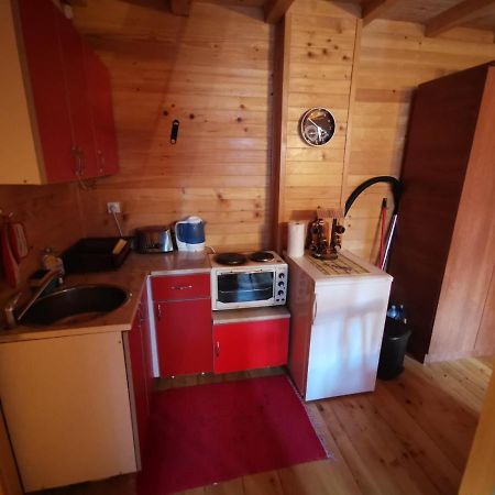Apartman Bugar Mitrovac Kültér fotó