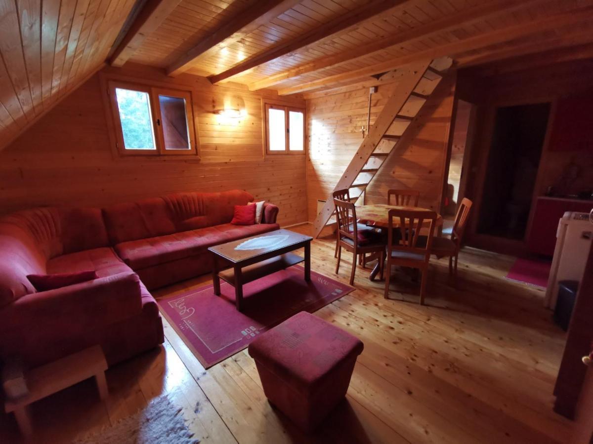 Apartman Bugar Mitrovac Kültér fotó