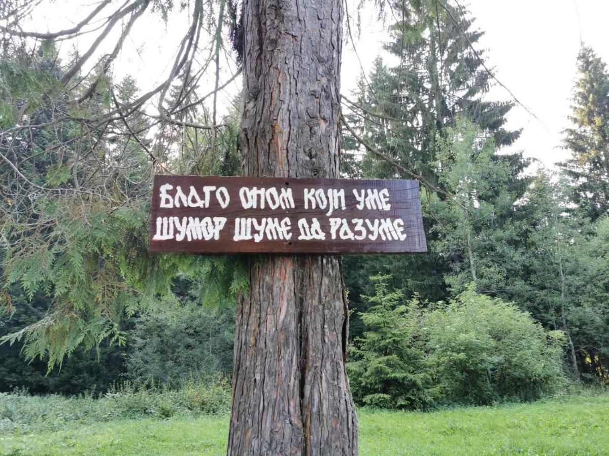 Apartman Bugar Mitrovac Kültér fotó