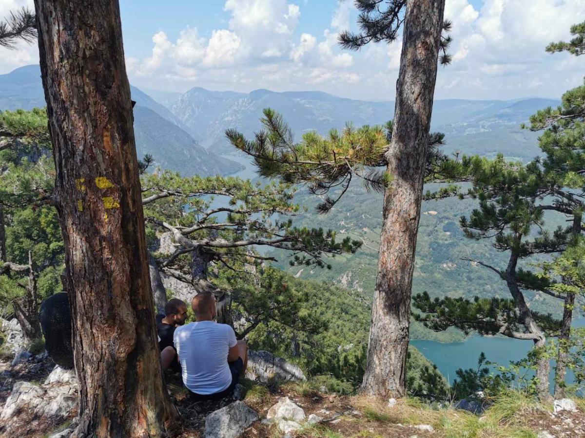 Apartman Bugar Mitrovac Kültér fotó