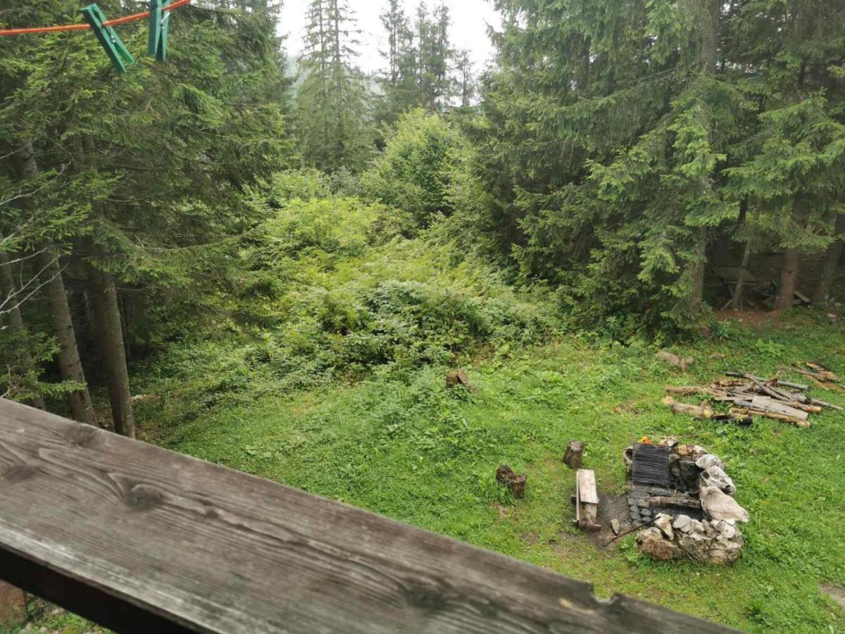 Apartman Bugar Mitrovac Kültér fotó